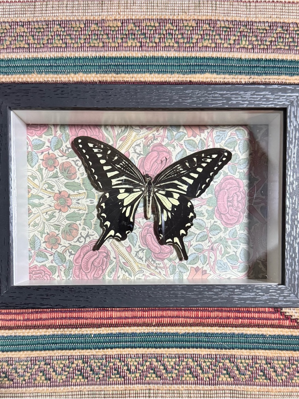 Framed Black and Cream Butterfly Wall Art - Home Accents